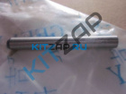 ����� �������� ����������  