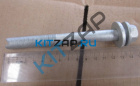 ���� ���������� ������