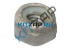 ���� ������������ ��������� �������������