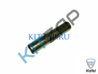 ������ �������� �������